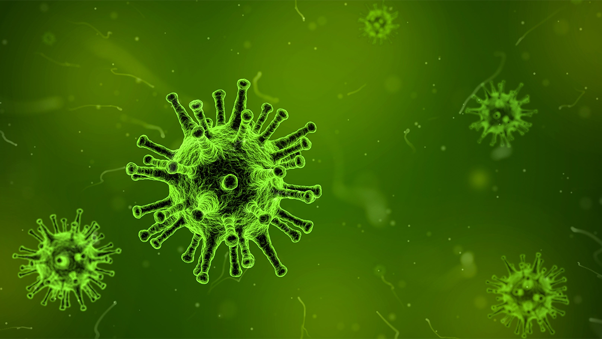 Green image with virus bacteria floating throughout