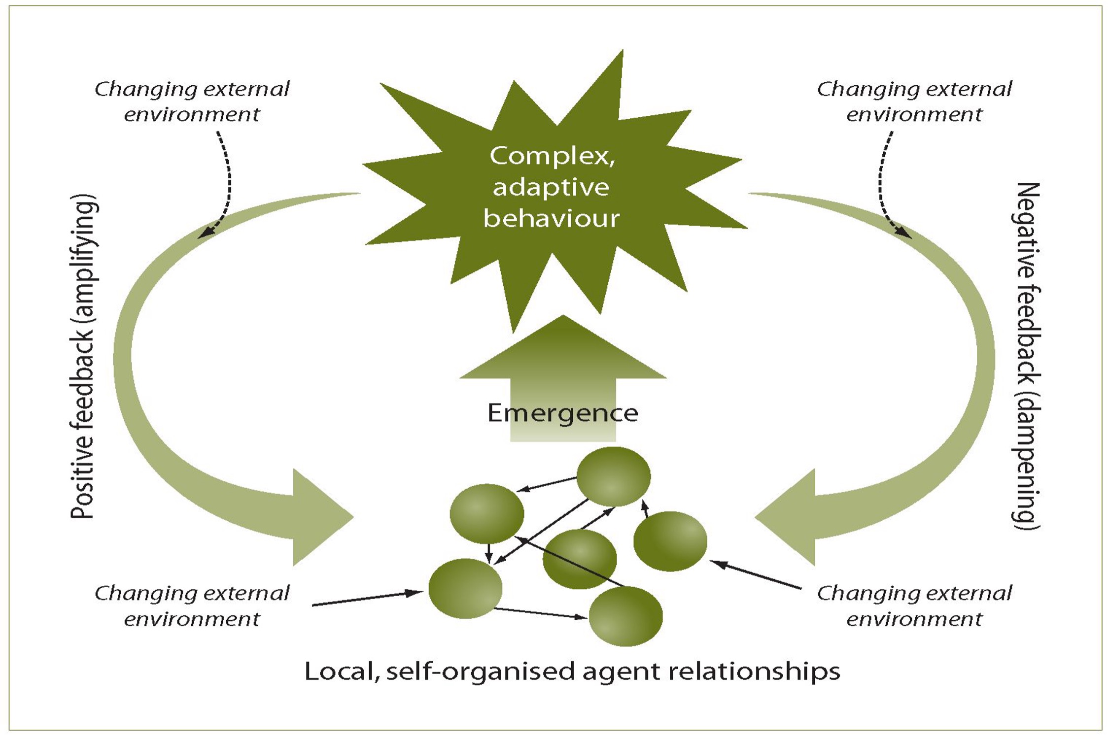 A complex adaptive system model