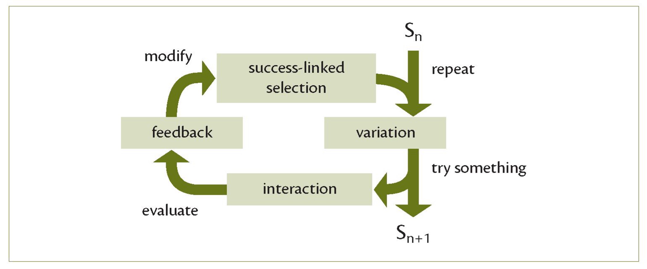 Model of the adaptation cycle.