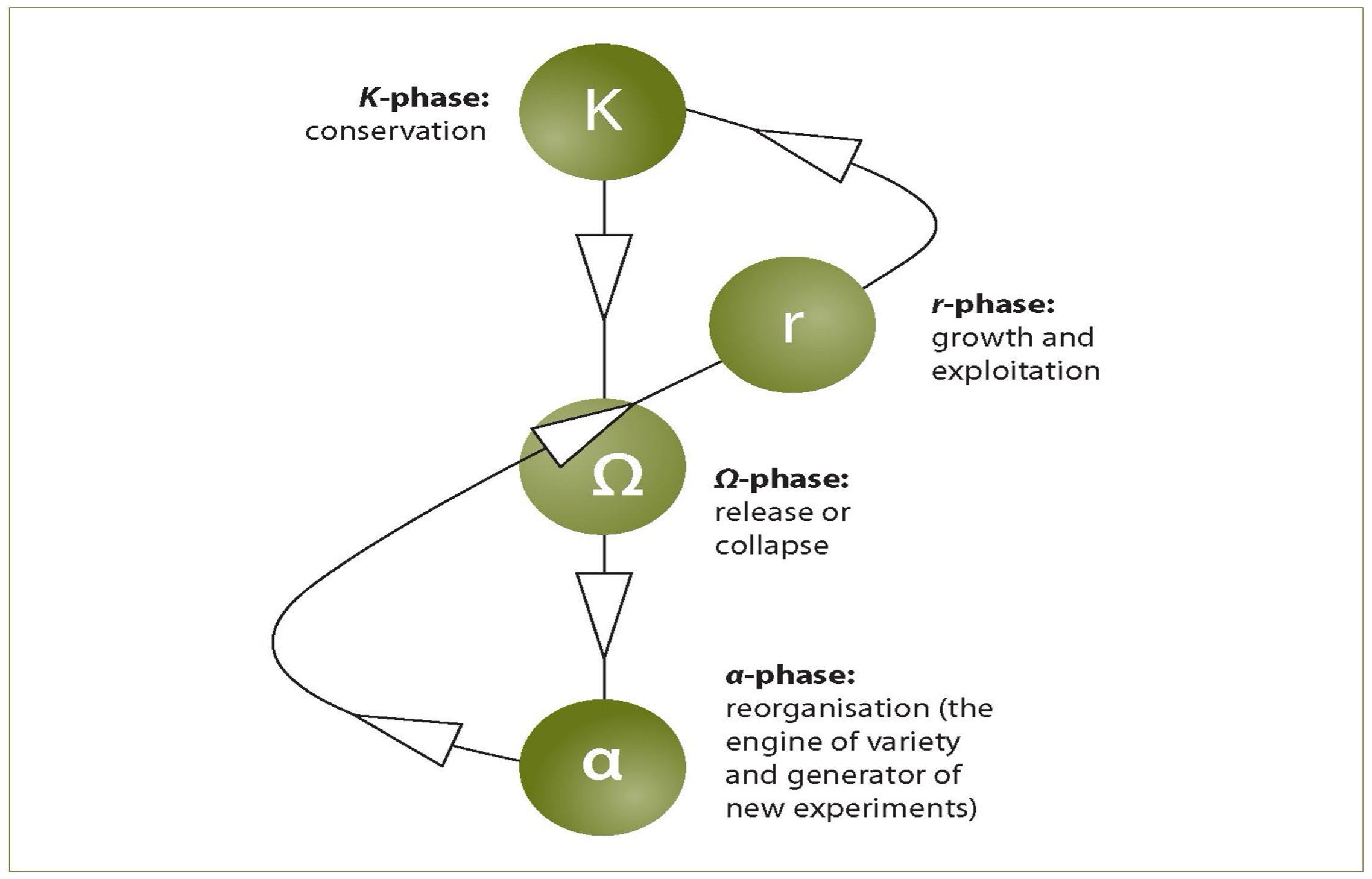 The adaptive cycle—a life-cycle model for complex adaptive systems. 