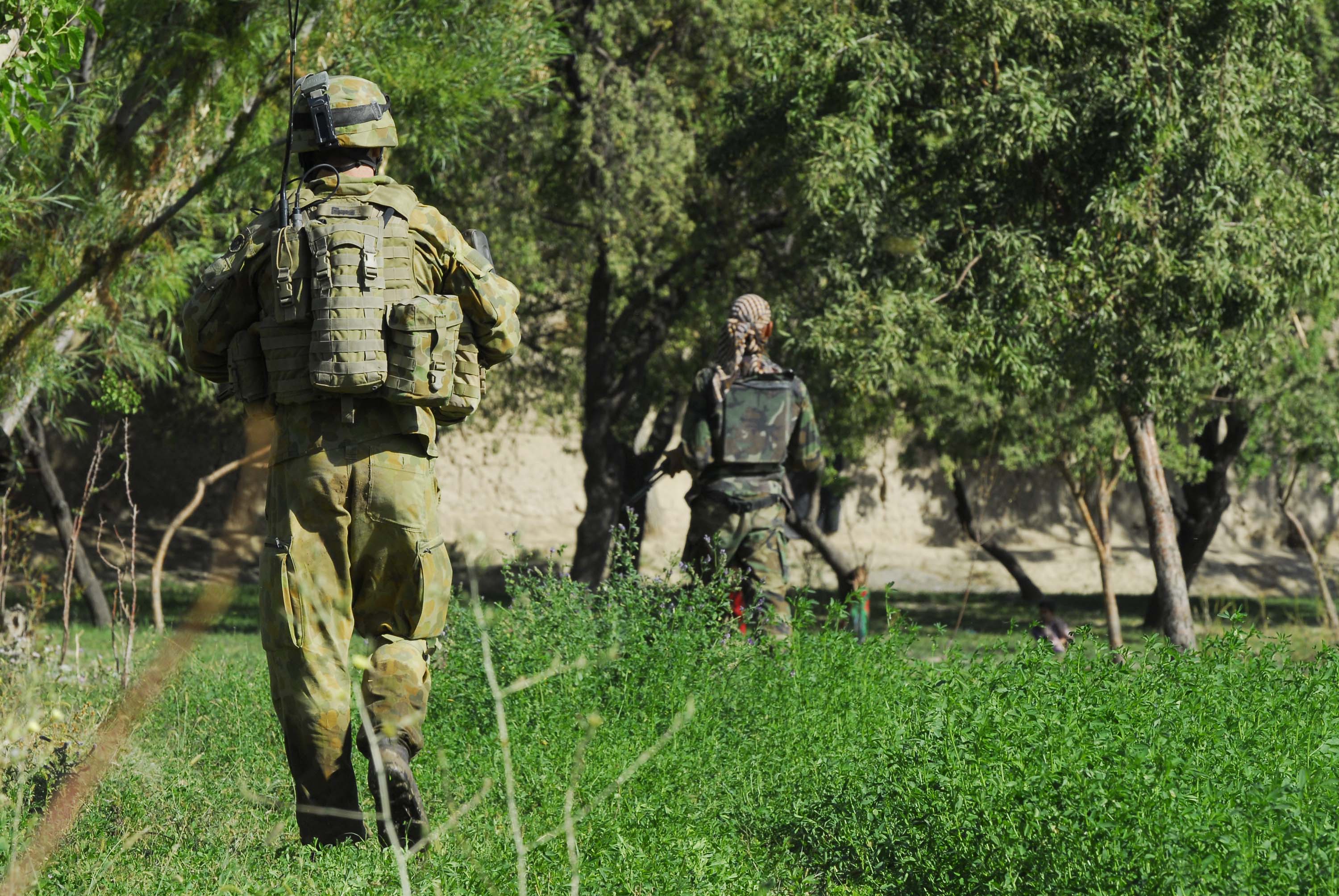 Two personnel walking away, the rear person is dressed in Australian Disruptive Pattern Camouflage Uniform, wearing combat body armour, ballistic protection, load carrying equipment, a combat helmet and boots. The front person is dressed in Afghan National Army uniform, wearing combat clothing, a head scarf and body armour. A sunny day, walking through knee high green bushes towards some trees, beyond the trees is a wall.