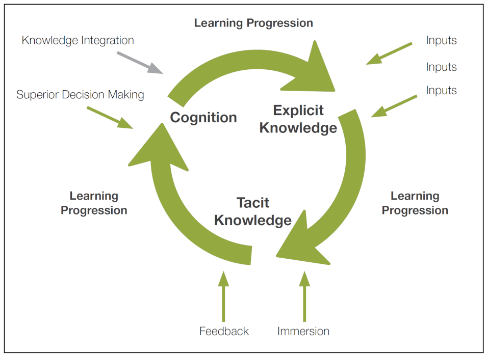 Three arrows cycling clockwise with elements between, Explicit Knowledge, Tacit Knowledge, and Cognition. Each arrow is a Learning Progression. Two small arrows point inward from the outside of the circle to the three elements. The word Inputs point to Explicit Knowledge, Feedback and Immersion to Tacit Knowledge, and Superior Decision Making and Knowledge Integration point to Cognition.