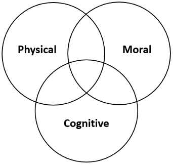 The overlapping and interrelated nature of cohesion