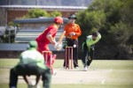 Cricketers and Diggers