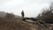 Promo image for Every Possible Capability Bushfire paper