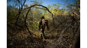 A U.S. Marine with 3d Battalion, 7th Marine Regiment, Ground Combat Element, Marine Rotational Force-Darwin 22, manoeuvres through RAAF Base Curtin during an airfield seizure event as part of Exercise Koolendong 2022.