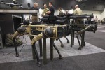 Quadrupedal uncrewed vehicles, colloquially known as ‘robot dogs’, fitted with mock weapons on display at the Army Robotics Expo as part of the Chief of Army Symposium 2023 in Perth.