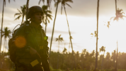 Silhouetted soldier with palm trees and sunshine in background
