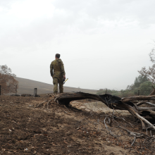 Promo image for Every Possible Capability Bushfire paper