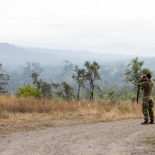 An Australian Army Joint Terminal Attack Controller surveys landscape prior to conducting training serials at the Townsville Field Training Area in Queensland, during Exercise Talisman Sabre 2021.