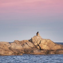 Image by Pixabay user Enrique (elg21-3764790). Image url is https://pixabay.com/photos/sea-rocks-woman-sunset-reading-7651295