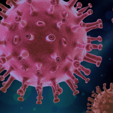 Large pink circular organisms floating in background with the cover of Spotlight Brief 7/21 in the foreground lower right corner