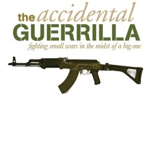 Book Cover - The Accidental Guerrilla