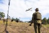 Australian Army soldier Corporal Harrison Hinson from the 2nd Cavalry Regiment, lands the Quantum Vector Drone during Exercise Southern Jackaroo at Townsville Field Training Area, Queensland.