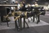 Quadrupedal uncrewed vehicles, colloquially known as ‘robot dogs’, fitted with mock weapons on display at the Army Robotics Expo as part of the Chief of Army Symposium 2023 in Perth.